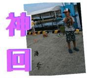 201092944