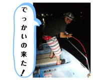 201092953