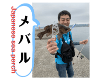 201092969