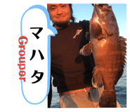 201092975