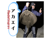 201092977