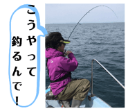 201092978