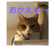 201101256