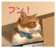 201101264