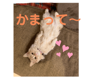 201101265