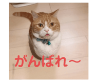 201101266