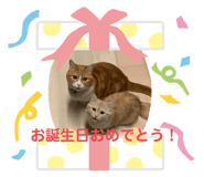 201101270