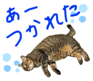 201108911
