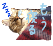 201108917
