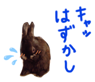 201108919