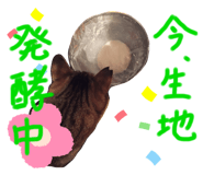 201108922