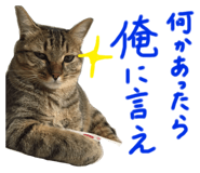 201108923