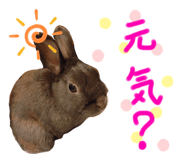 201108925