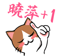 201174145