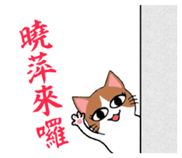 201174146