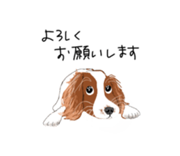 201191021