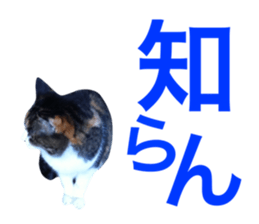 20126309