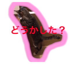 20127021