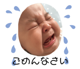 201295855