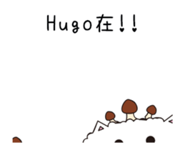 201335216