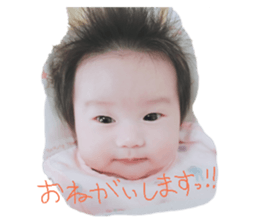 201360055