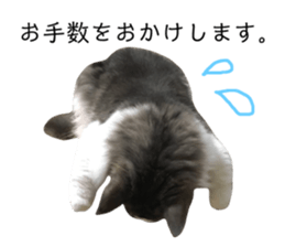 201479515