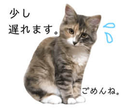 201479517