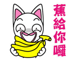20149061