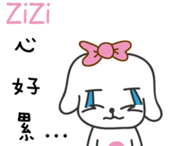 201633135