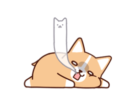 20165669
