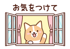 20165675