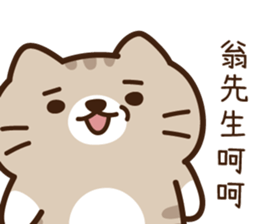 201680244