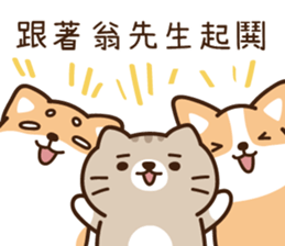 201680251