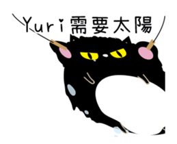 201754948