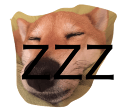 20178869