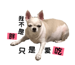201809402
