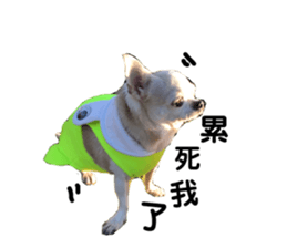 201809403