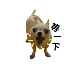 201809404