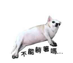 201809405