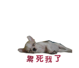 201809408