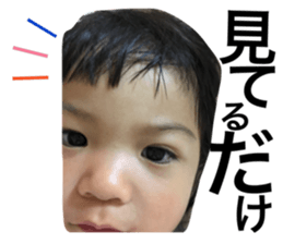 20184040
