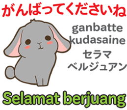 20190684