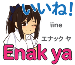 20191516