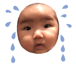 201940310