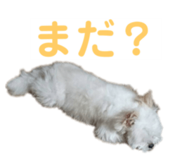 201946830