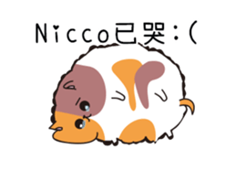 201957098