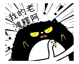 201957728
