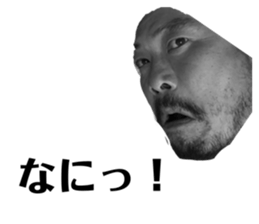 201962662