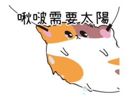 201970948