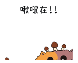 201970952